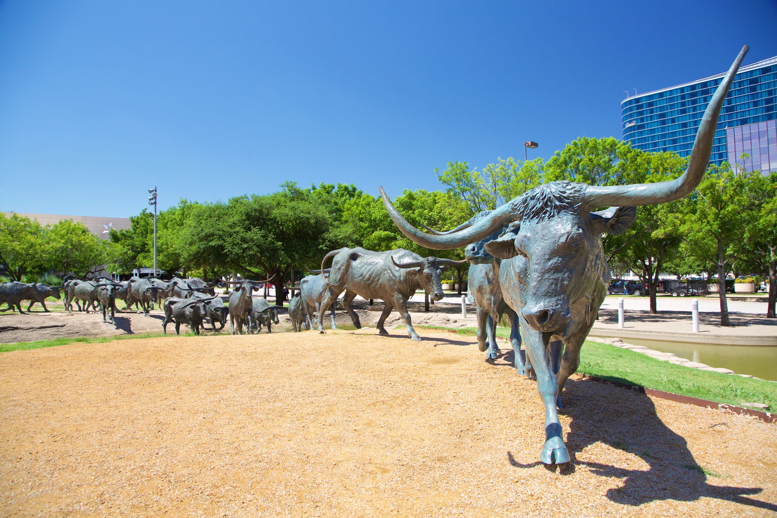 Texas_Dallas_selected 8